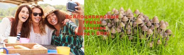 хмурый Белоозёрский